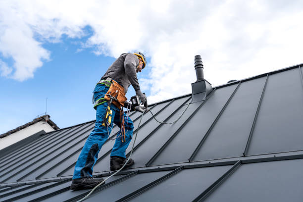 Best Roof Moss and Algae Removal  in Russellville, AR